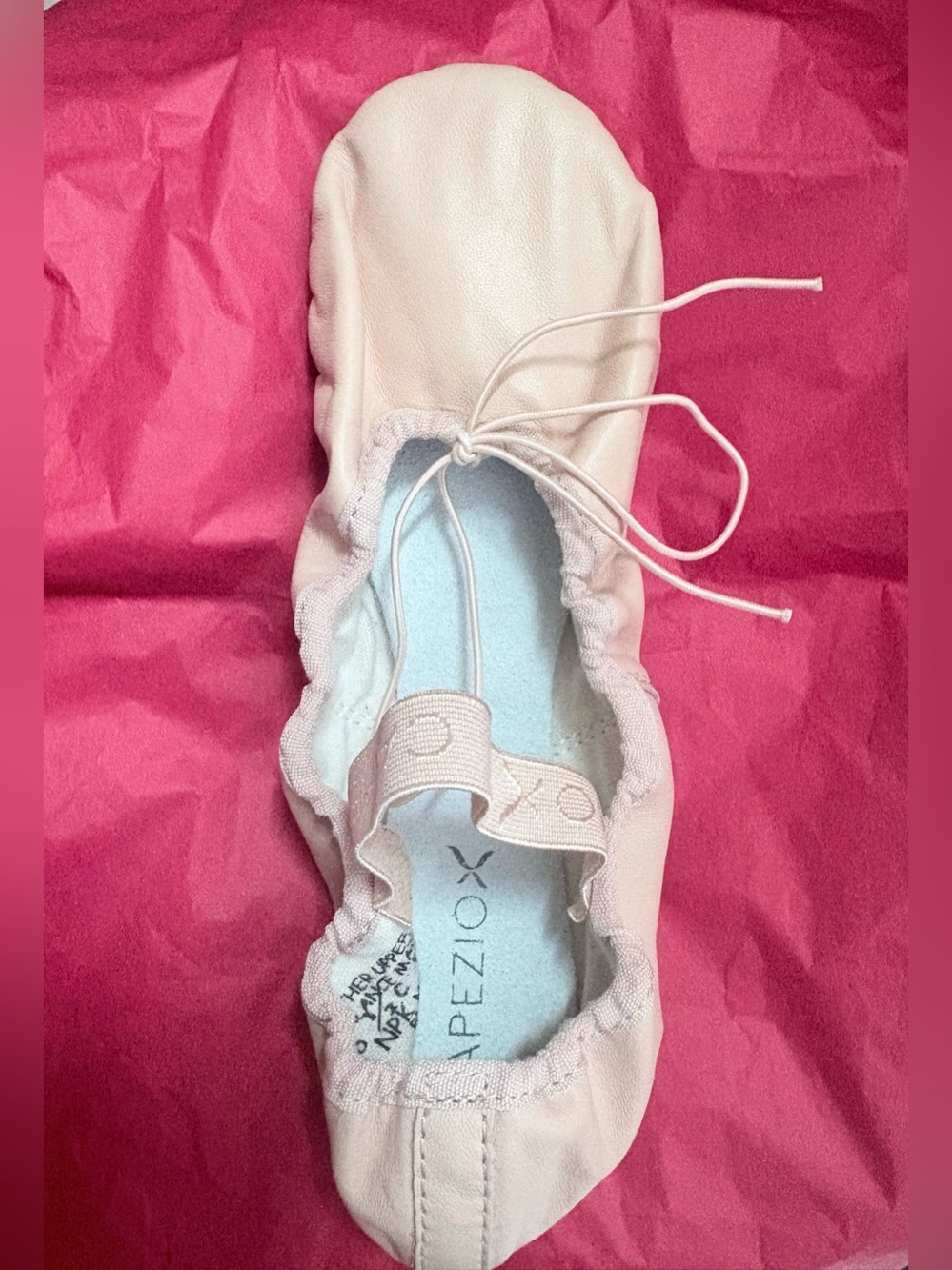 BNIB Teknik Capezio Ballet Slippers